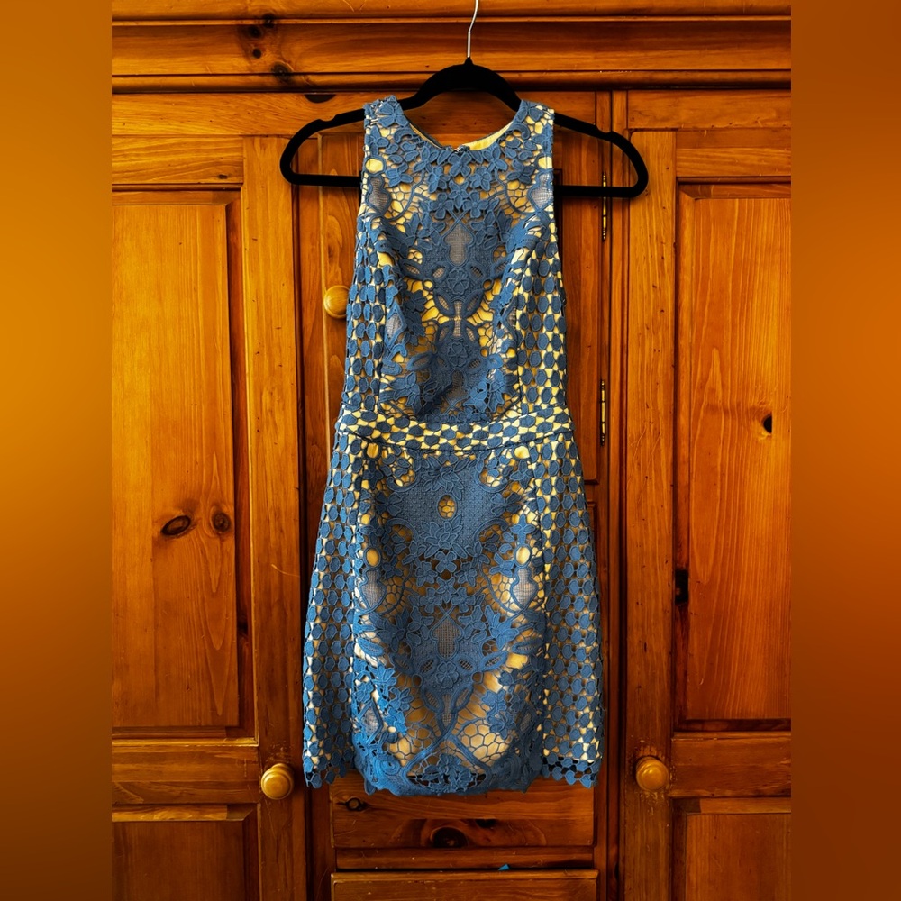 Endless Rose Blue and NudeDress